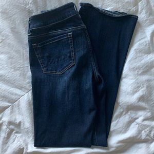 American eagle Artist jeans